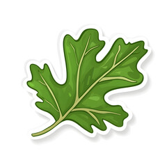 Fototapeta premium A vibrant, detailed illustration of a green oak leaf, showcasing its unique shape and texture.