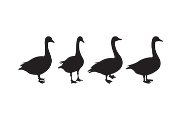 Goose Silhouette Vector Farm Bird Clipart Wildlife Design