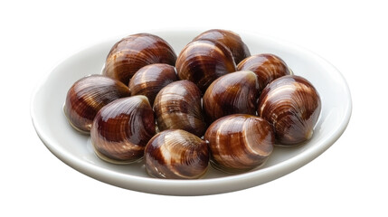 Obraz premium sea shells on a white background