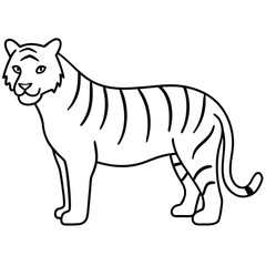 Line art tiger vector illustration 