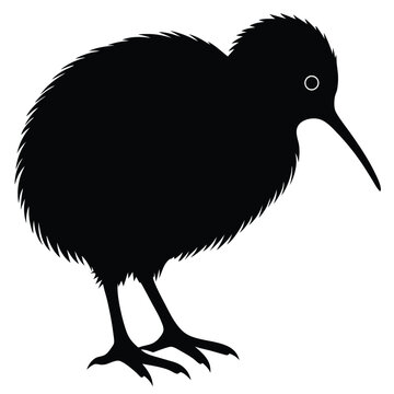 recommend clip art: Vector black silhouette of a kiwi bird.