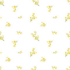 Seamless pattern with spring flowers on a white background. Watercolor mimosa. Spring, Mother's Day, Easter, Women's Day, Birthday. Background for cards, posters, wrapping paper, wallpaper.