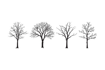 Obraz premium Leafless Tree Silhouette Vector Bare Branches Nature Clipart 