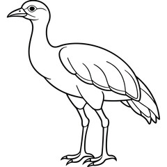 Line art dikkop bird vector art.