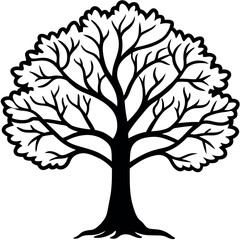 Obraz premium Minimalist Oak Tree Outline – Simple Branch Drawing