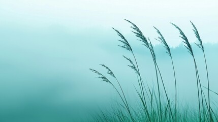 Serene Reed Grass Silhouettes Against a Soft Teal Sky and Mist, Nature Photography