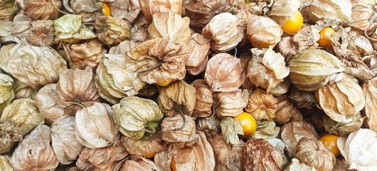 A pie of fresh cape gooseberry open sell in Indian market.