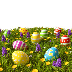 Collection of Colorful and Pattern Easter Eggs Celebrating a Happy Easter Laying in Green Meadow Grass and Wildflowers Against an Isolated Transparent Background PNG