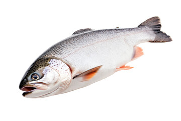 Obraz premium Fresh rainbow trout on black background displaying vibrant colors and detail, cut out