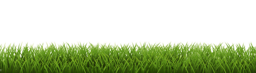 Green Grass Border Isoalated White Background