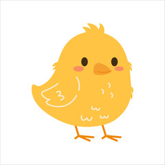 Flat style illustration of a fluffy yellow chick with orange beak and feet, perfect for farm-themed projects, children’s books, baby animal collections, and springtime designs