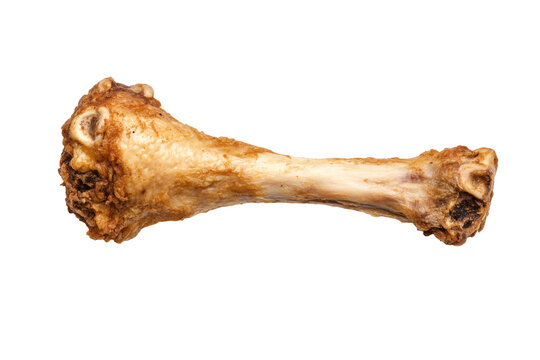 Single chicken bone on black background highlighting texture and detail, cut out
