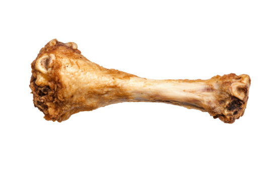 Single chicken bone on black background highlighting texture and detail, cut out