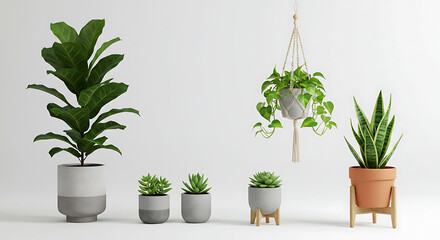 Fototapeta premium Indoor Oasis: An inviting display of potted plants of diverse types, shapes and sizes, arranged to brighten the space with life and color, perfect for interior design.