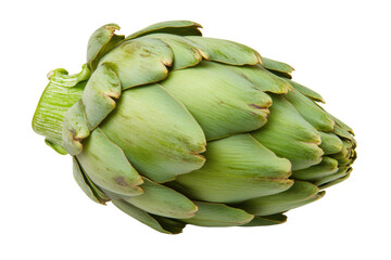Obraz premium Fresh green globe artichoke with intricate leaf structure isolated on black background, cut out
