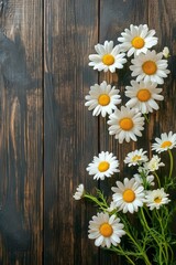 Obraz premium Bright Daisies Arranged on a Rustic Wooden Background Enhance Natural Beauty in a Serene Setting