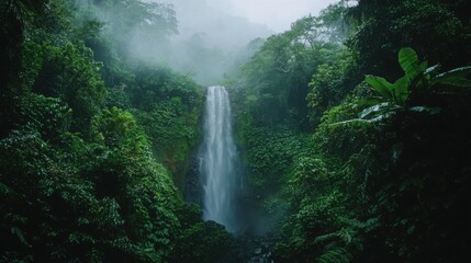 A majestic waterfall cascades down a cliff face surrounded by lush vibrant green tropical rainforest foliage in a misty atmosphere creating a serene and tranquil scene.