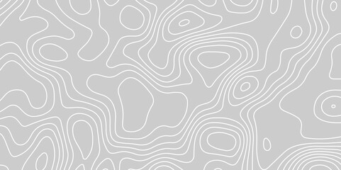 Panorama view gradient multicolor wave curve lines banner background design. similarcartography illustration. Topography and geography map grid abstract backdrop. Business concept. World Map, Vintage.