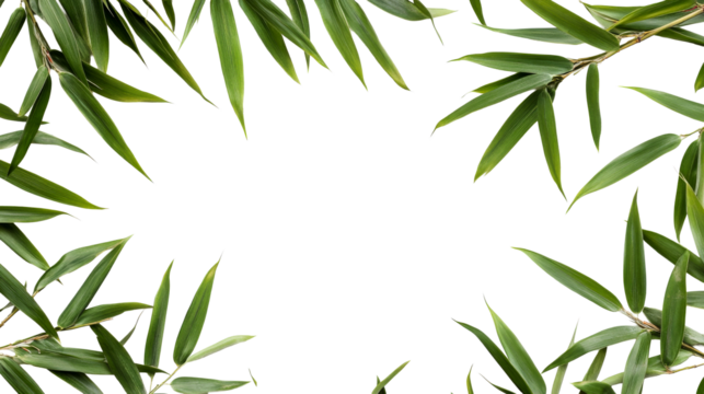 Bamboo leaves arranged in a circular frame on a transparent background