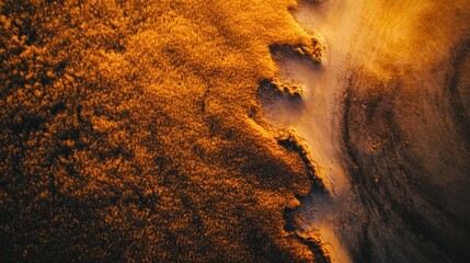 Wildfire raging across dry grassland in a remote area during late afternoon hours