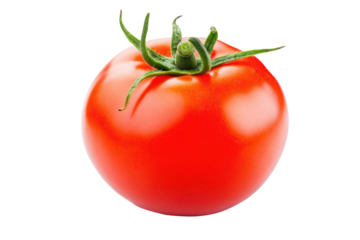 Fresh red tomato isolated on black background with green stem highlight, cut out