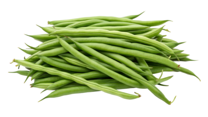 Bunch of whole fresh raw green beans in a pile