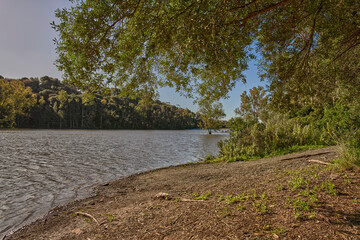 lago rodeado de bosques con cielo azul y nubes 