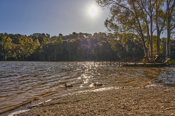 lago rodeado de bosques con cielo azul y nubes 