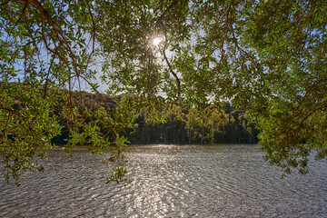 lago rodeado de bosques con cielo azul y nubes 