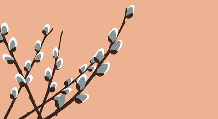 Willow branches with soft white buds against a peach background
