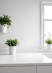 Indoor Plant in White Pot on Clean Countertop