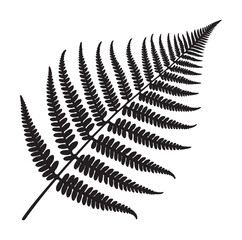Fern leaf line art silhouette vector illustration a white background.