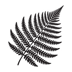 Fern leaf line art silhouette vector illustration a white background.