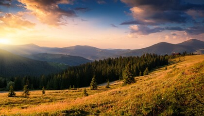 evening scene in carpathians