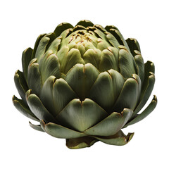 Fototapeta premium A pristine artichoke, its tightly closed leaves hinting at deliciousness within, a vibrant green jewel against a stark Transparent background.