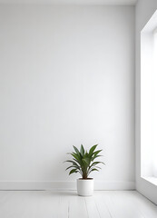 Indoor Plant in Minimalistic White Room