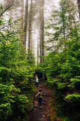 Trail in the woods, Fundy National Park, New Brunswick, Canada