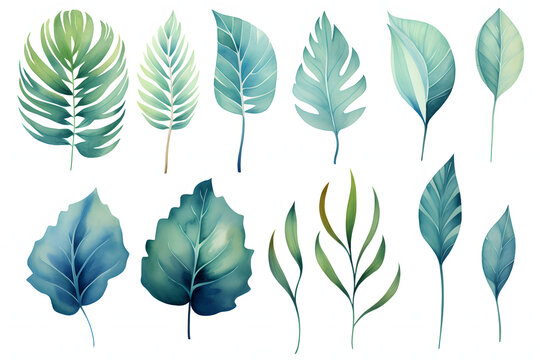 Set of watercolor green leaves elements. Collection botanical vector isolated on white background suitable for Wedding Invitation, save the date, thank you, or greeting card.
