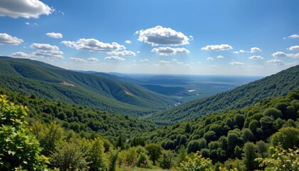 Naklejka premium Scenic Viewpoint Create an image that showcases a scenic viewpoint of a valley filled with greenery under a blue sky.