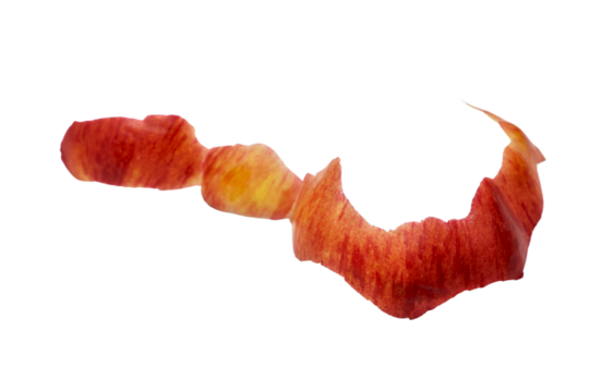 Red Apple peel or apple skin Isolated on a Transparent Background PNG	