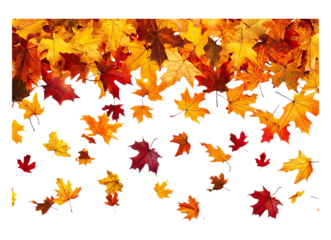 long horizontal border made of falling autumn leaves
