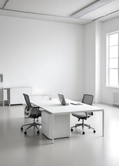 Modern Office Interior with Minimalistic Design