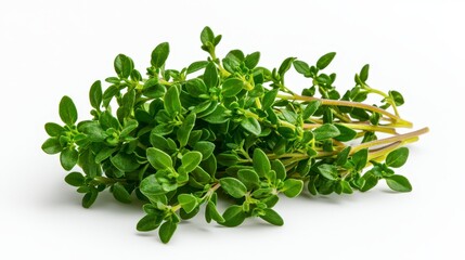 Obraz premium A pile of fresh green thyme leaves displaying their rich color and texture isolated on a white background for culinary use