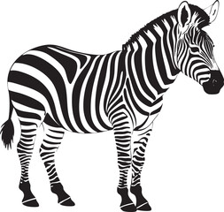 Zebra Black Vector Outline