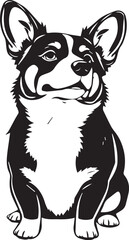 Corgi puppy. Hand drawn vector illustration
