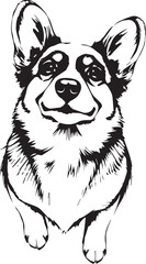 Corgi puppy. Hand drawn vector illustration