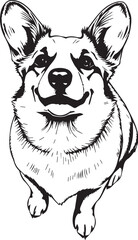 Corgi puppy. Hand drawn vector illustration