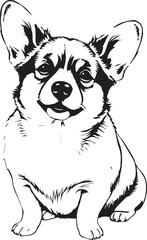 Corgi puppy. Hand drawn vector illustration