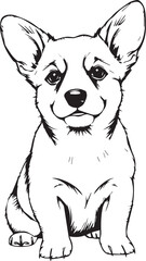 Corgi puppy. Hand drawn vector illustration