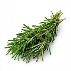 Distinctive sprii spica plant featuring its unique green structure and leaves against a clean white background